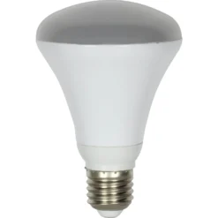 LED R80 60W Warm Light Bulb