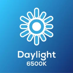 TCP Filament Globe Coat 40W BC Cool Dimmable Light Bulb -Home Lighting 12824596 1755022111737163