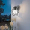 EGLO Canove Caged Exterior Wall Light -Home Lighting 12881609 1344952642848386