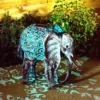 Solar Silhouette Elephant - 34x23.5x38cm -Home Lighting 12912163 1185042102261796